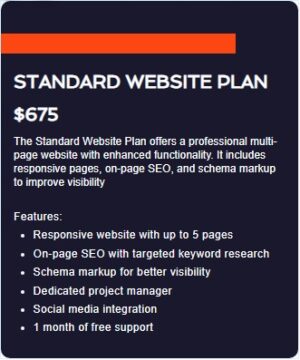 Standard Website Plan (Popular)
