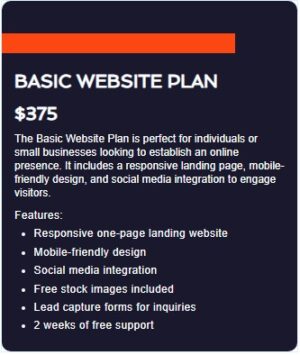 Basic Website Plan